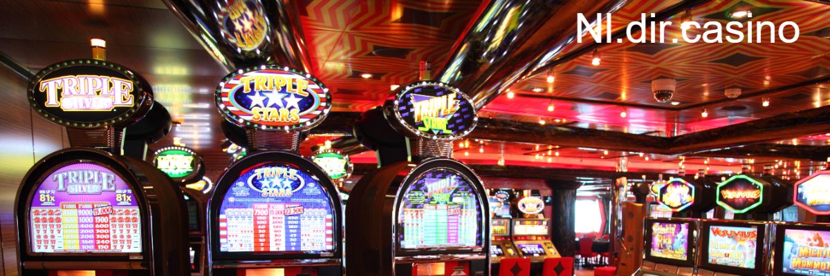 nl.dir.casino nl.dir.casino